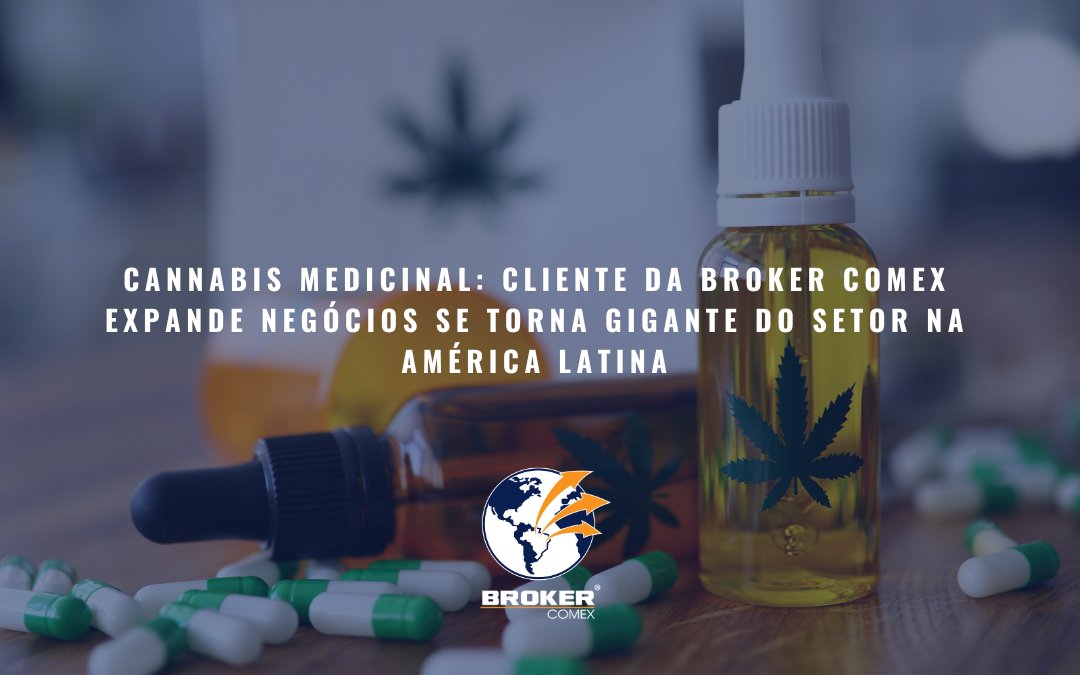 Importação De Cannabis Medicinal: Saiba Tudo Sobre Esse Mercado